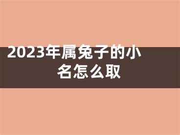 2023年属兔子的小名怎么取