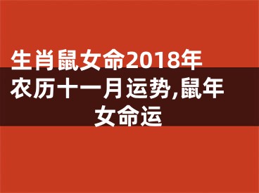 生肖鼠女命2018年农历十一月运势,鼠年女命运