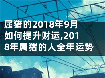 属猪的2018年9月如何提升财运,2018年属猪的人全年运势