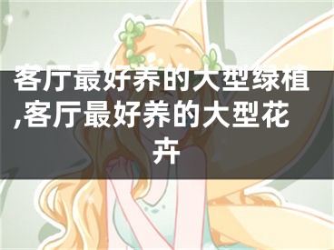 客厅最好养的大型绿植,客厅最好养的大型花卉