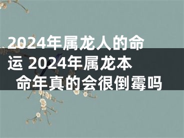 2024年属龙人的命运 2024年属龙本命年真的会很倒霉吗