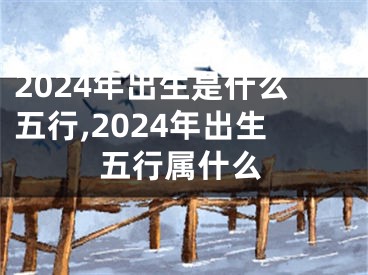 2024年出生是什么五行,2024年出生五行属什么