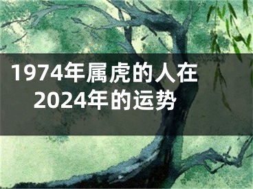 1974年属虎的人在2024年的运势