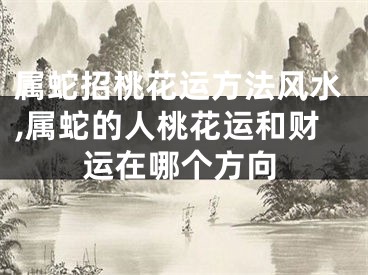 属蛇招桃花运方法风水,属蛇的人桃花运和财运在哪个方向