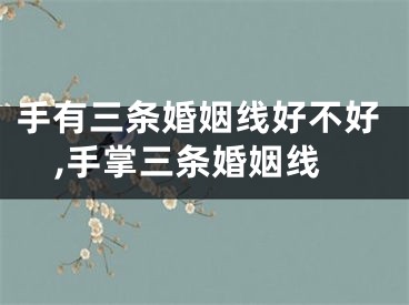 手有三条婚姻线好不好,手掌三条婚姻线