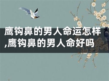 鹰钩鼻的男人命运怎样,鹰钩鼻的男人命好吗