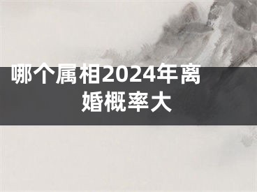 哪个属相2024年离婚概率大