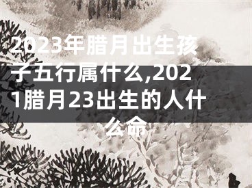2023年腊月出生孩子五行属什么,2021腊月23出生的人什么命