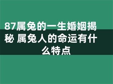 87属兔的一生婚姻揭秘 属兔人的命运有什么特点