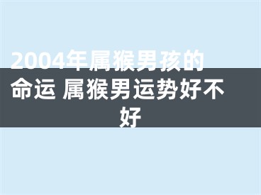 2004年属猴男孩的命运 属猴男运势好不好