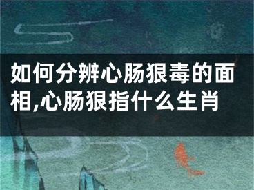 如何分辨心肠狠毒的面相,心肠狠指什么生肖