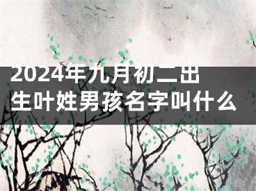 2024年九月初二出生叶姓男孩名字叫什么