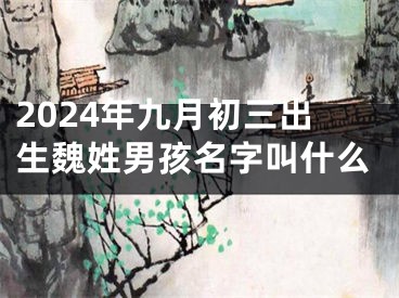 2024年九月初三出生魏姓男孩名字叫什么