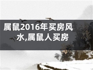 属鼠2016年买房风水,属鼠人买房