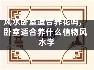 风水卧室适合养花吗,卧室适合养什么植物风水学