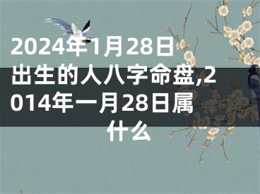 2024年1月28日出生的人八字命盘,2014年一月28日属什么