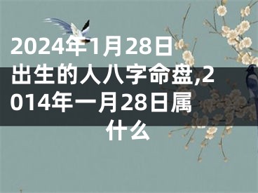 2024年1月28日出生的人八字命盘,2014年一月28日属什么