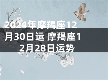 2024年摩羯座12月30日运 摩羯座12月28日运势