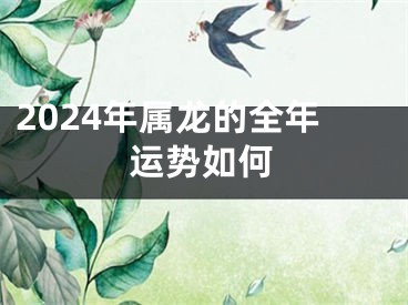 2024年属龙的全年运势如何