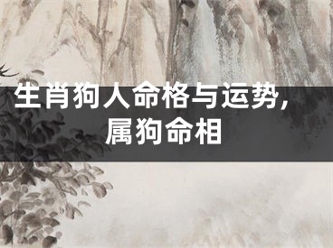 生肖狗人命格与运势,属狗命相