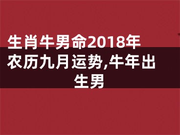 生肖牛男命2018年农历九月运势,牛年出生男