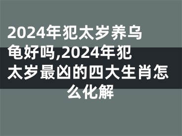 2024年犯太岁养乌龟好吗,2024年犯太岁最凶的四大生肖怎么化解