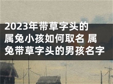 2023年带草字头的属兔小孩如何取名 属兔带草字头的男孩名字