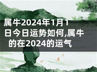 属牛2024年1月1日今日运势如何,属牛的在2024的运气