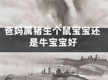 爸妈属猪生个鼠宝宝还是牛宝宝好