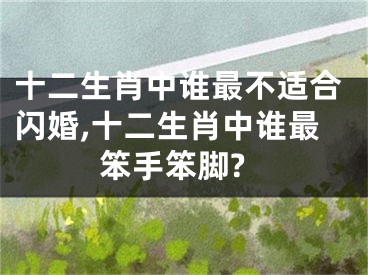十二生肖中谁最不适合闪婚,十二生肖中谁最笨手笨脚?