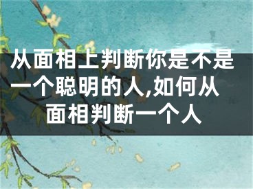 从面相上判断你是不是一个聪明的人,如何从面相判断一个人