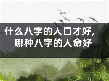 什么八字的人口才好,哪种八字的人命好