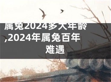 属兔2024多大年龄,2024年属兔百年难遇