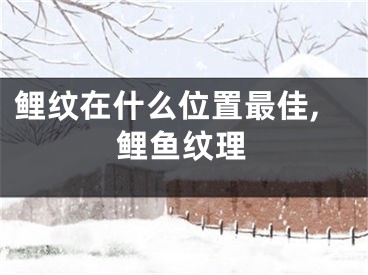 鲤纹在什么位置最佳,鲤鱼纹理
