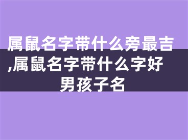 属鼠名字带什么旁最吉,属鼠名字带什么字好男孩子名