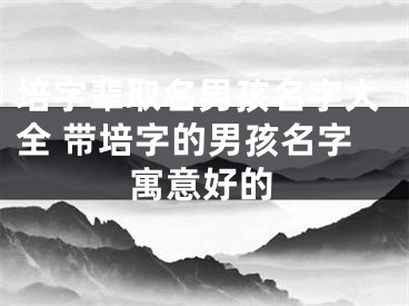 培字辈取名男孩名字大全 带培字的男孩名字寓意好的