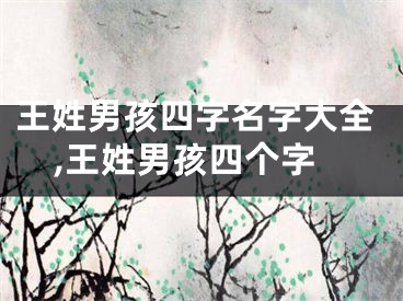 王姓男孩四字名字大全,王姓男孩四个字