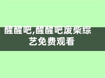 醒醒吧,醒醒吧废柴综艺免费观看