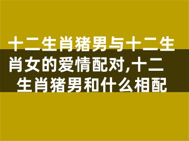 十二生肖猪男与十二生肖女的爱情配对,十二生肖猪男和什么相配