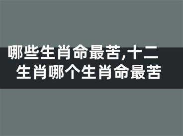 哪些生肖命最苦,十二生肖哪个生肖命最苦