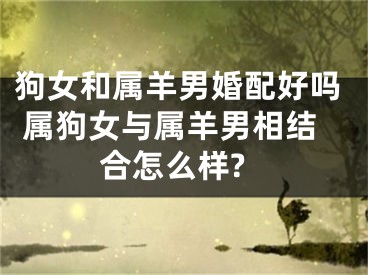 狗女和属羊男婚配好吗 属狗女与属羊男相结合怎么样?