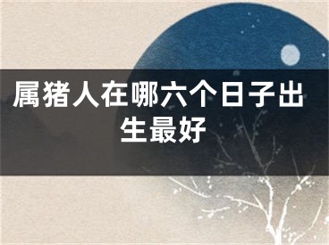 属猪人在哪六个日子出生最好