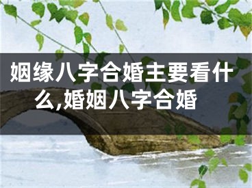 姻缘八字合婚主要看什么,婚姻八字合婚