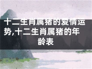 十二生肖属猪的爱情运势,十二生肖属猪的年龄表