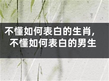 不懂如何表白的生肖,不懂如何表白的男生