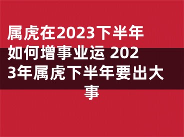 属虎在2023下半年如何增事业运 2023年属虎下半年要出大事