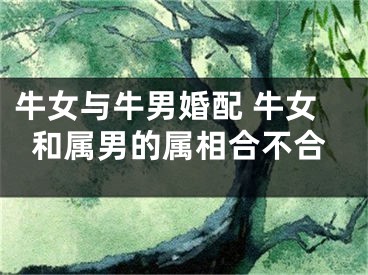 牛女与牛男婚配 牛女和属男的属相合不合