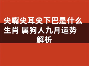 尖嘴尖耳尖下巴是什么生肖 属狗人九月运势解析