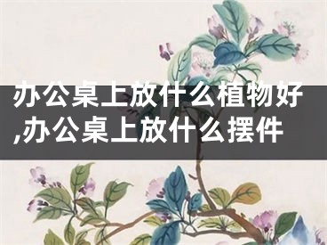 办公桌上放什么植物好,办公桌上放什么摆件