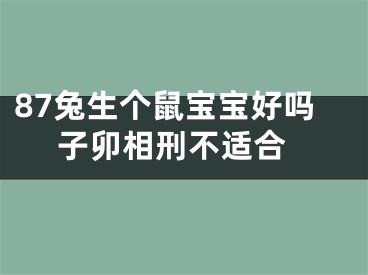 87兔生个鼠宝宝好吗 子卯相刑不适合